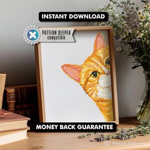 Patrón de punto de cruz de gato naranja / Bordado de retrato de gato jengibre / Bordado de gato divertido en PDF / Patrón de descarga instantánea para regalo de amante de los gatos que miran fijamente