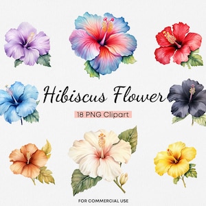 Hibiskus Blume Clipart, 18 transparente PNG Aquarell Hibiskus Blumen, pastellbunte Blumen Clip Art, Blumensträuße Blüte kommerzielle Nutzung