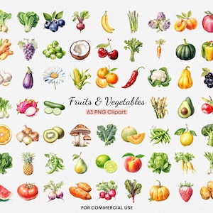 Clipart de frutas e vegetais, 63 clipart de alimentos em aquarela PNG de alta qualidade, mega pacote de ilustrações para uso comercial e cartões infantis
