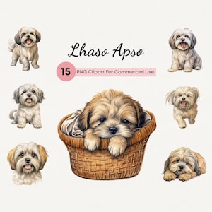 Lhaso Apso PNG, 15 High Quality Watercolor Cute Puppy Clipart Dog Breed Clip art Dog Portrait With Transparent Background For Commercial Use