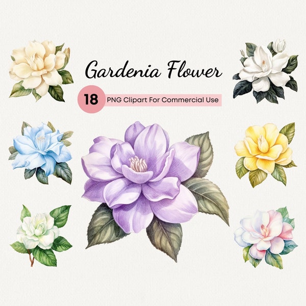 Gardenia Flower PNG, 18 Transparent Clipart Watercolor Gardenia Flowers, Pastel Colorful Floral Clip art, Spring Blossom Commercial Use