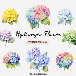 Hortensie Clipart, 17 transparente PNG Aquarell Hortensie Blumen, pastellbunte florale Clip art, Blumensträuße Blüte kommerzielle Nutzung