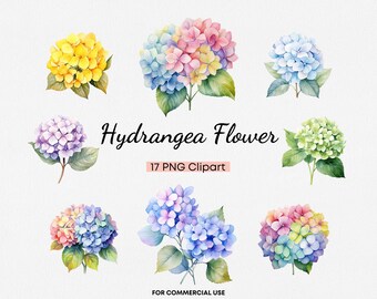 Hydrangea Clipart, 17 Transparent PNG Watercolor Hydrangea Flowers, Pastel Colorful Floral Clip art, Bouquets Blossom Commercial Use