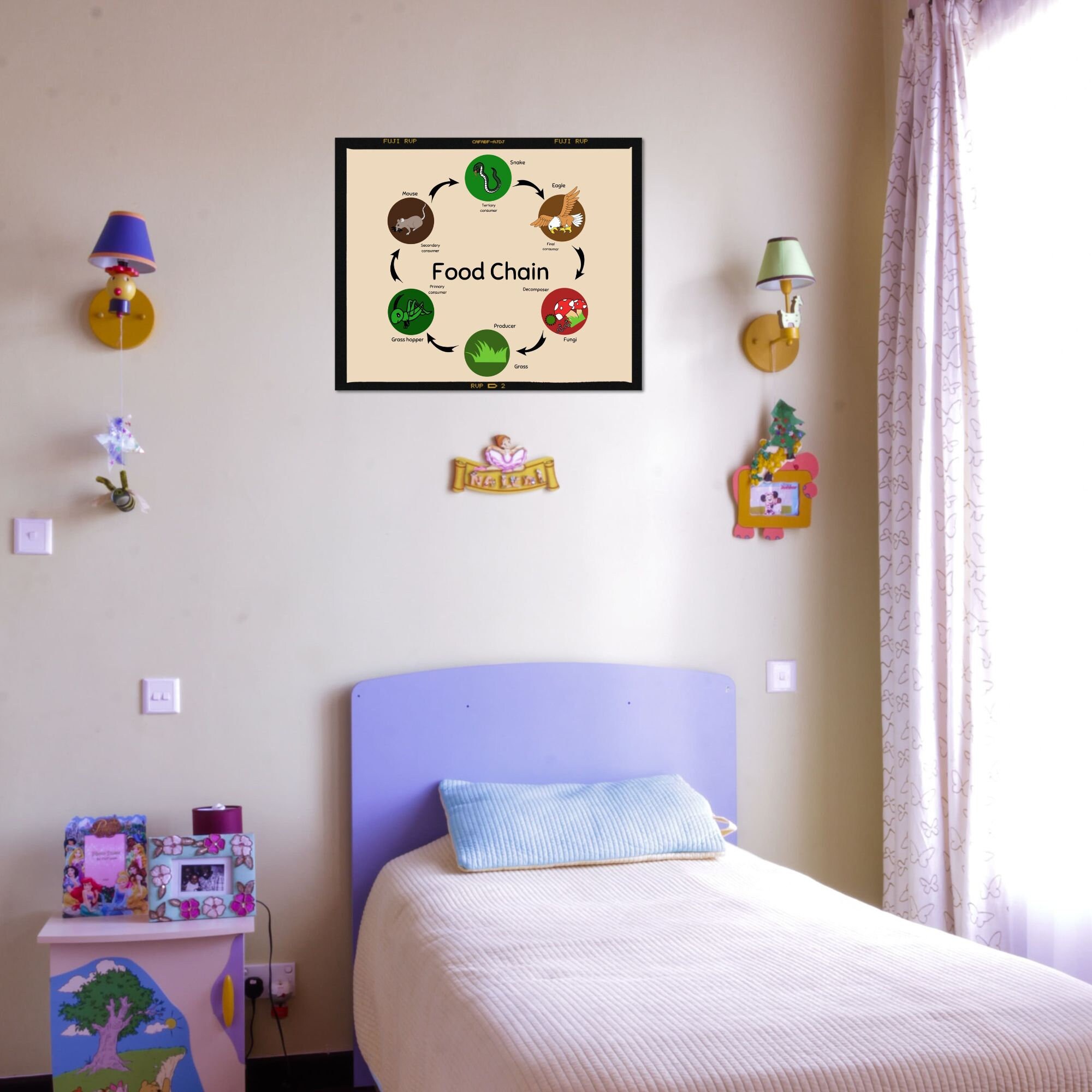 Food Chain Wall Art Nursery Educational Poster for Playrooms and Kids ... Biology Diagrams