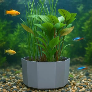 Vaso per piante sott'acqua per acquario Vaso per fiori di diverse dimensioni Miglior posizionamento delle piante - evitare la dispersione Aquascaping in acqua dolce