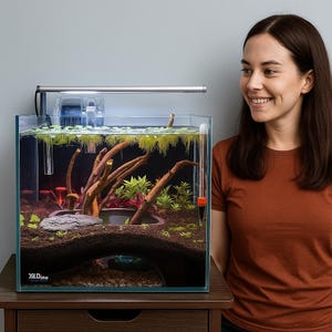 Könnte beinhalten: Ein klares Glasaquarium mit integriertem Filter und LED-Beleuchtung. Das Becken ist mit Wasserpflanzen, Treibholz und einem dunklen Substrat gefüllt. Das Aquarium steht auf einem Holztisch.