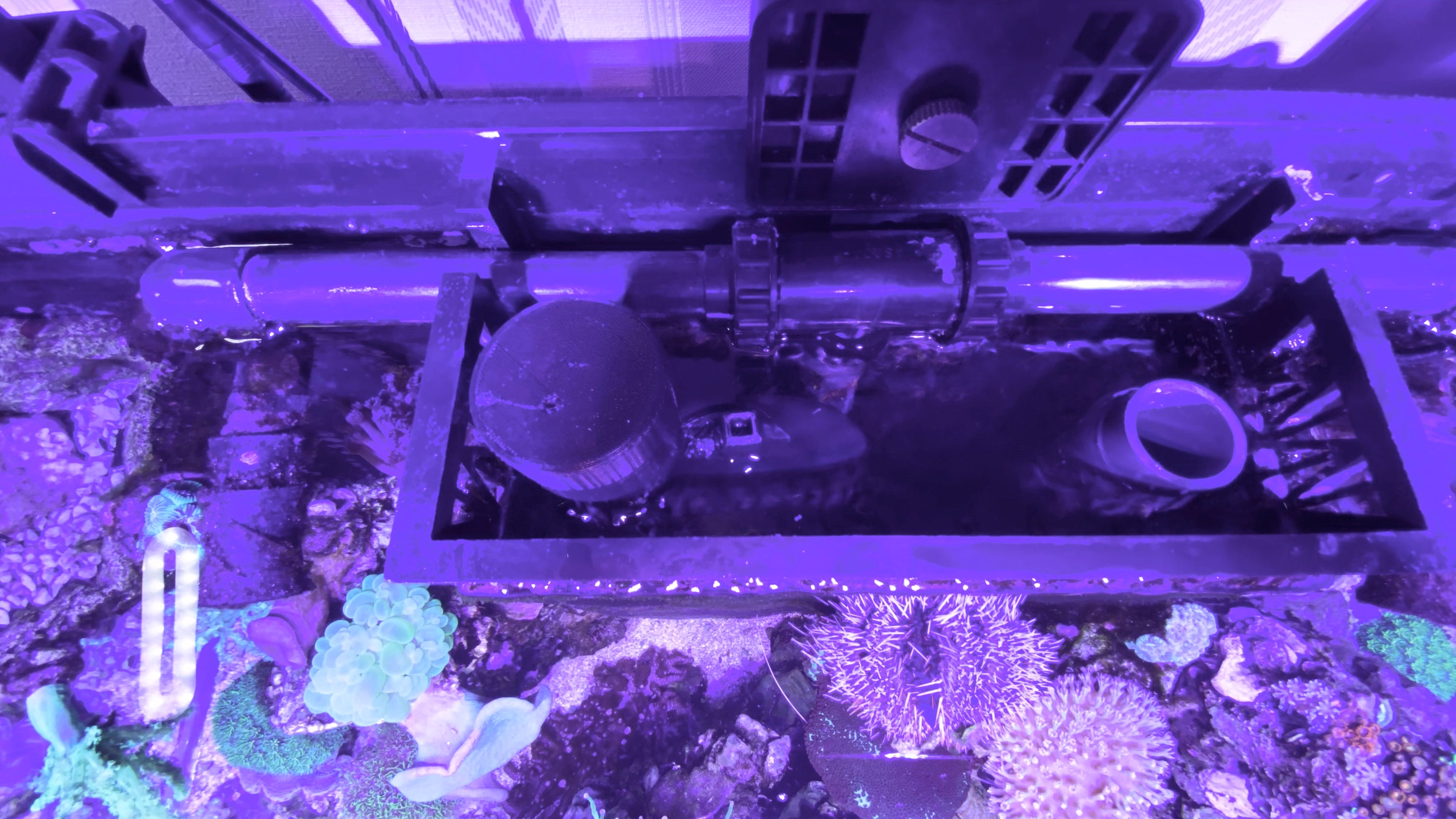 Durso Eliminate Drain Noise Aquarium Downpipe Drain Pipe Etsy