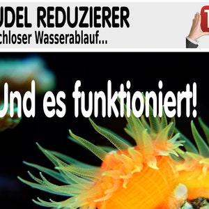 Puede incluir: Primer plano de una anémona de mar de color naranja brillante y verde con el texto "Und es funktioniert!" en blanco. El texto "STRUDEL REDUZIERER" es visible en la parte superior de la imagen.