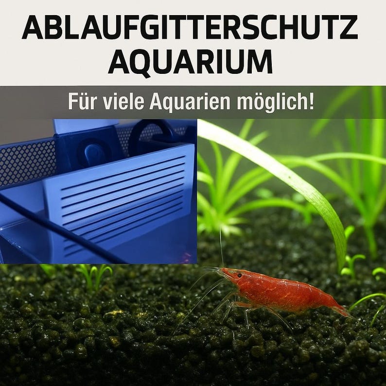 Puede incluir: Primer plano de una escena de acuario con un camar&oacute;n rojo vibrante sobre un sustrato oscuro. La imagen incluye un sistema de filtro azul y plantas acu&aacute;ticas. El texto dice "ABLAUFGITTERSCHUTZ AQUARIUM" y "F&uuml;r viele Aquarien m&ouml;glich!"