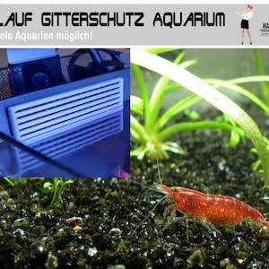Puede incluir: Filtro de acuario con el texto "ABLAUF GITTERSCHUTZ AQUARIUM" y "F&uuml;r viele Aquarien m&ouml;glich!". La imagen muestra un camar&oacute;n rojo, plantas acu&aacute;ticas y grava oscura. El filtro es blanco y rectangular.