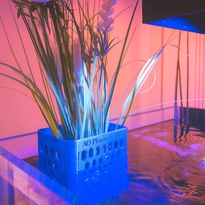Aquarium plant box container large box mangrove bamboo reed with holder - seawater freshwater for hanging basket plant basket variable height
