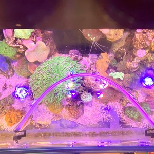 Hose Floating Plant Barrier - Self Leveling - Adapts to the water level Keeps floating plants away from the filter Hose version