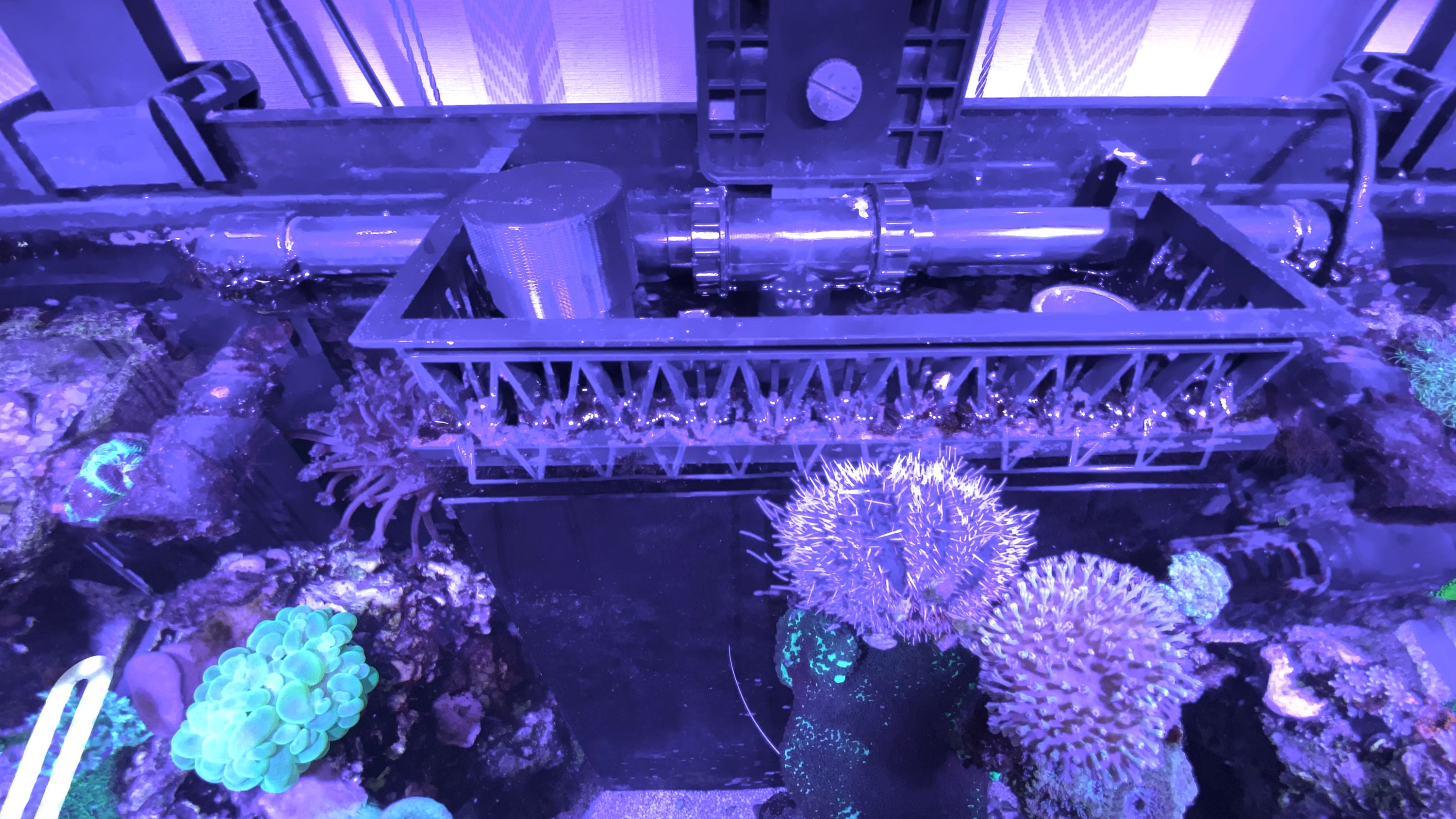 Durso Eliminate Drain Noise Aquarium Downpipe Drain Pipe Etsy