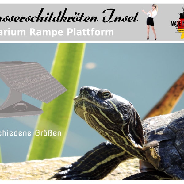 Plate-forme pour tortues d'eau, rampe d'île avec surface inégale à différentes hauteurs, plate-forme solaire pour tortues en bonne santé