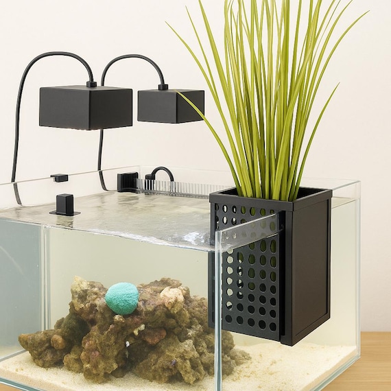 Aquarium Mangroven Pflanzen Box - Fr Meer- und Swasser Aquarien Bambus  Schilf Box Kann man vor den berlaufschacht hngen - A60 - Etsy sterreich