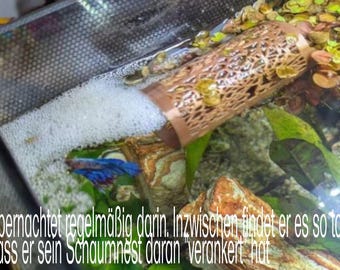 Betta Cave Fighting Fish Shrimp - Tubo para dormir Tubo para escondite Túnel Tubo para tumbonas Tubo de musgo - Se adhiere al panel con ventosa A los Bettas les encanta