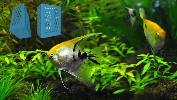 Porta Piante Acquario Sospeso - Per Piante Acquatiche Con 5 Fori, Accessorio Decorativo - Foto 6