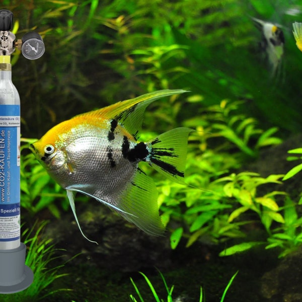 Standfuß CO2 Zylinder SodaStream Sodastar Flaschenhalter für Aquarium CO2 Anlage  Dünger Adapter Sicherer Stand CO2-Flaschen Standfuß