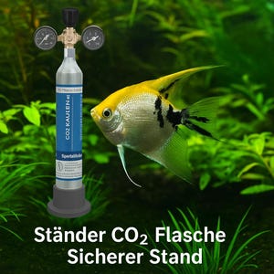 スタンド CO2 シリンダー SodaStream Sodastar ボトルホルダー 水槽用 CO2 システム 肥料 アダプター 安全スタンド CO2 ボトル スタンド アクセサリー