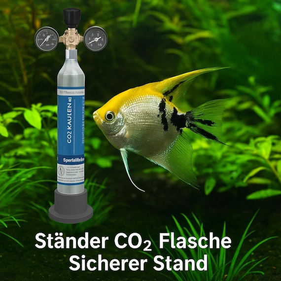 Standfu CO2 Zylinder SodaStream Sodastar Flaschenhalter fr Aquarium CO2  Anlage Dnger Adapter Sicherer Stand CO2-Flaschen Standfu Zubehr - Etsy  sterreich