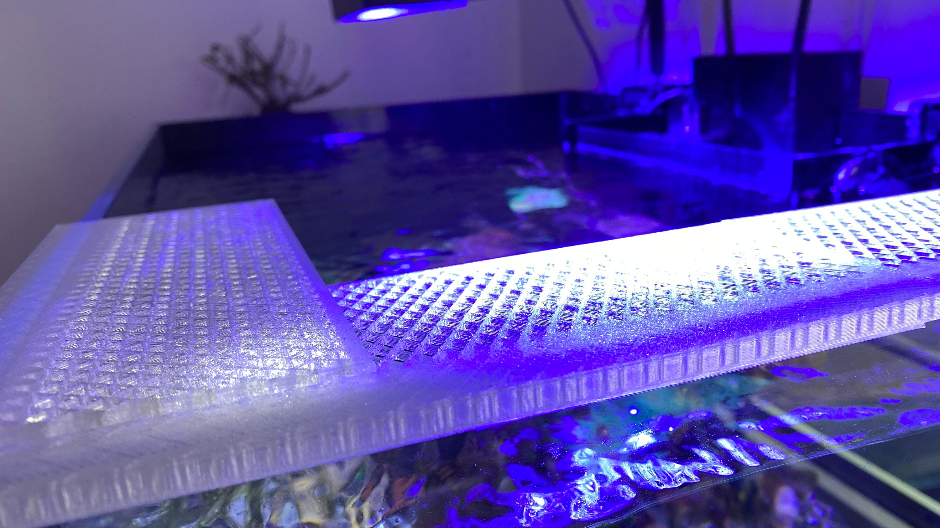 Fishguard Fish Jump Protection Hoppstop Aquarium Fresh-seawater Simply ...