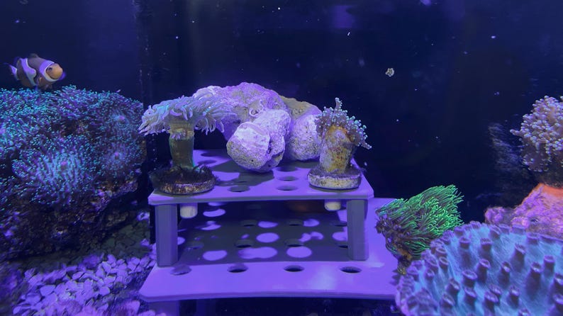 Stable Stackable Table Shelf For Aquariums With 15 Mm Holes Photo Inspiration