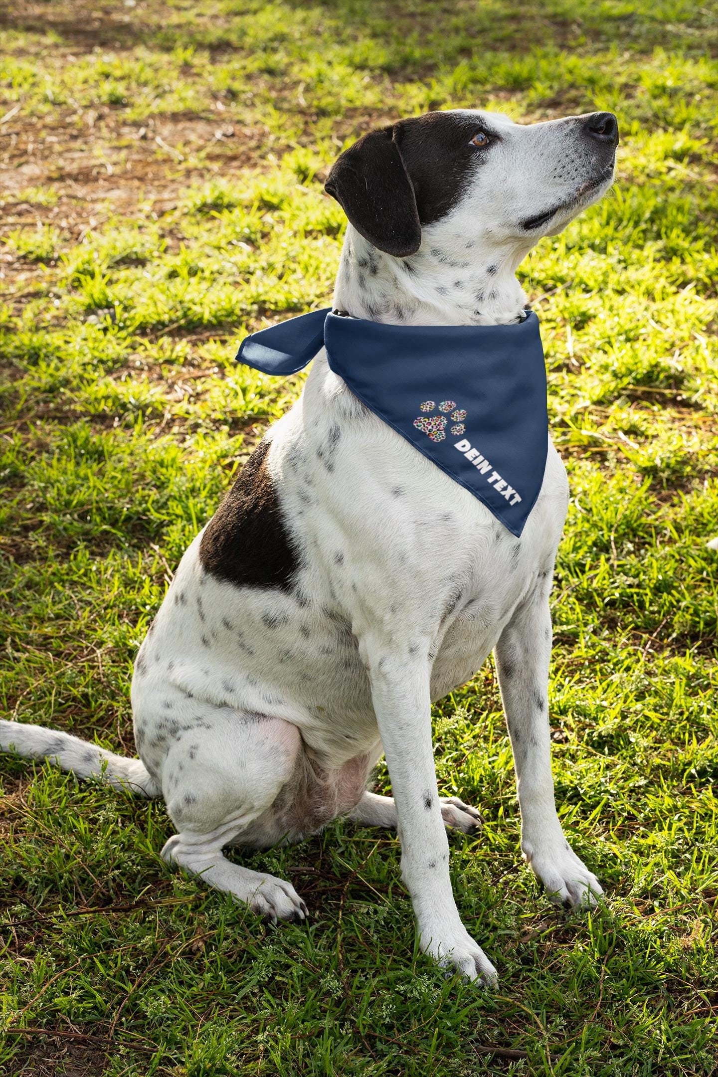 Hundehalstuch Valentinstag – Rot-rosa Herzen, Für Mittelgroße & Große Hunde, 63,5 Cm