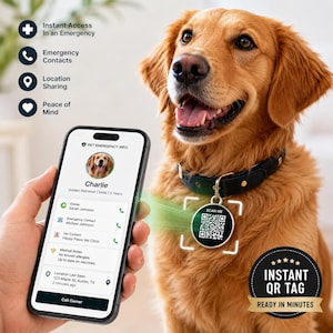 May include: A round black pet ID tag with a white QR code and the text SCAN ME, attached to a black leather collar on a golden retriever. A smartphone displays a digital pet profile with the name Charlie, owner details, and emergency contacts.