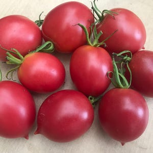 Amela tomate samen - Etsy Schweiz