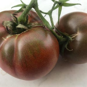 Tomato seeds Russian beefsteak tomato &quot;Black Prince&quot; pink fresh 10+ seeds 2025! Seed-stable! With cultivation instructions!