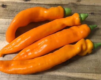 Sementes de pimenta, pimenta italiana "Bullhorn", sementes laranja, frescas, mais de 20 sementes, 2025! Sementes estáveis! Com instruções de cultivo!