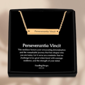 Perseverantia Vincit Halskette, Ausdauer Erobert, PhD Geschenk, Master Abschluss, PhD Abschluss Geschenk, feministischer Schmuck, Job Promotion Geschenk