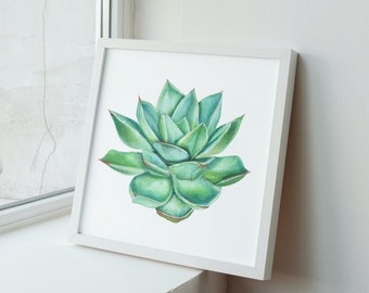 Acquerello della succulenta Echeveria - Download digitale