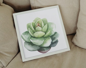 Acquerello della succulenta Echeveria - Download digitale