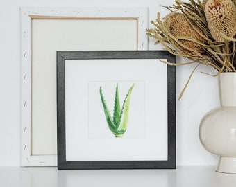 Arte de acuarela de una suculenta de aloe vera - Descarga digital