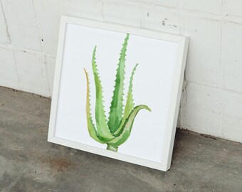 Acquerello di una succulenta Aloe Vera, download digitale. Decorazione per soggiorno, arte murale botanica.