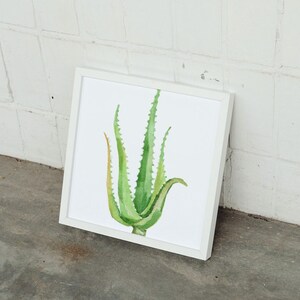 Watercolor art of Aloe Vera succulent, Digital download. living room decor, botanical wall art