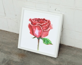 Acquerello di una rosa rossa - Download digitale