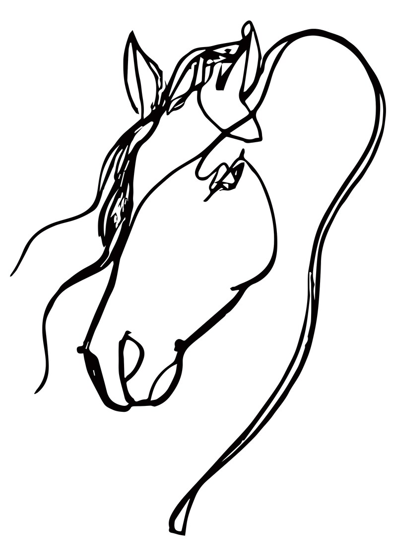 Continuous Line Art Drawing of a Horse, Horse Line Drawing, Minimalist