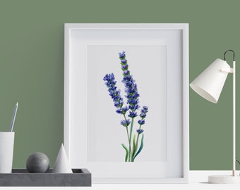 Stampa botanica di lavanda ad acquerello, decorazione floreale da parete (download digitale)