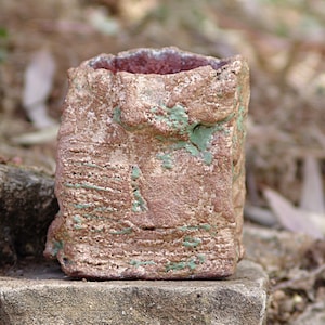 Vaso de grés marrom para planta caudex