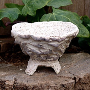 Stoneware pot for caudex plant