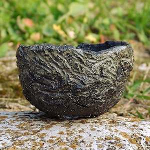 Pot for caudex plant
