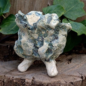 Stoneware pot for caudex plant