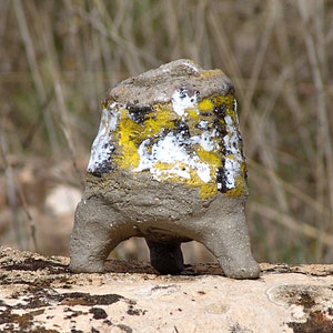 Vaso de grés cinza para planta caudex