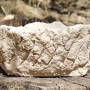 Vaso de grés para planta caudex