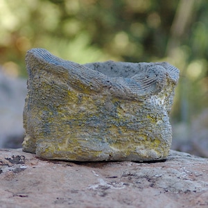 Puede incluir: Una pequeña maceta cuadrada y texturizada con aspecto envejecido. La maceta es principalmente gris con detalles amarillos y azules, y tiene un borde ondulado y texturizado. La maceta está sobre una roca.