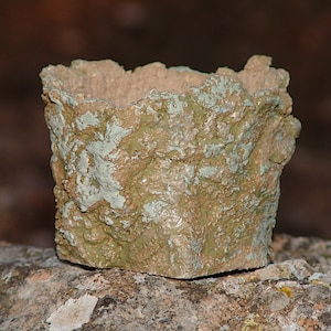 Vaso de grés bege para plantas caudex