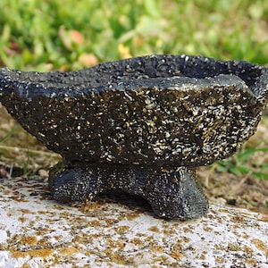 Vaso para planta caudex