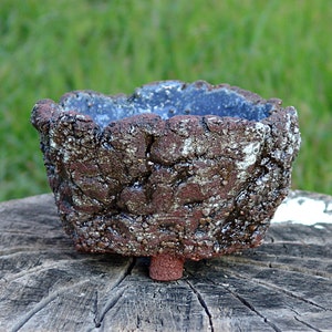 Vaso para planta caudex